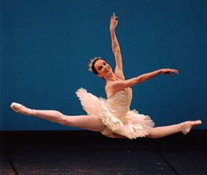 Reflections on a golden career: Lucinda Dunn OAM